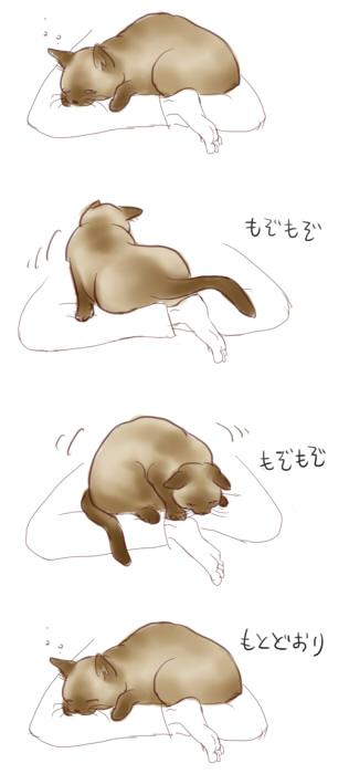 この現象なんなの