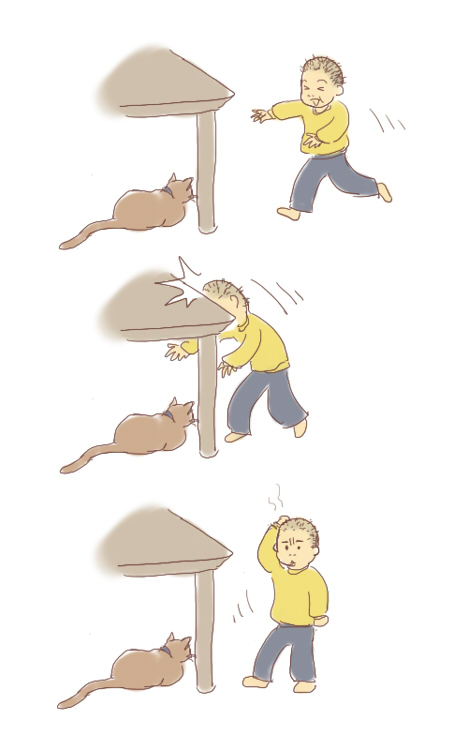 ねこー!