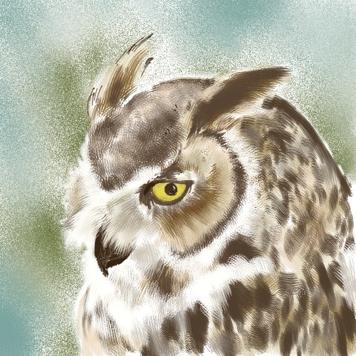 ふくろう模写